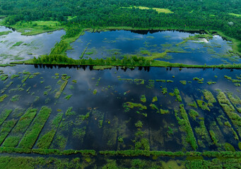 Peatland in wet. Marshland and Swamp landscape. Wild mire. East European swamps and Peat Bogs. Swampy land and wetland, marsh, bog. Mining peat. Drained of mire for peat extraction. Flooded field.