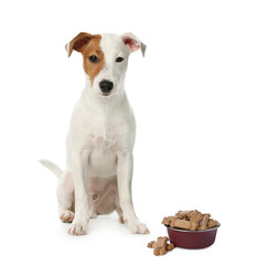 Cute dog near feeding bowl full of tasty bone shaped cookies on white background