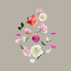 Different beautiful flowers flying on light grey background