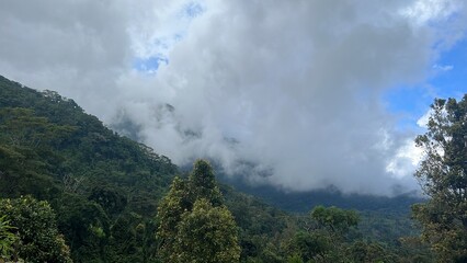 Les paysages tropicaux de Domoni