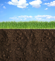 Soil with lush green grass and beautiful blue sky with clouds