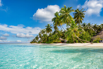 Fototapeta na wymiar Paradise island beach. Tropical landscape of summer scenery, sea sand sky palm trees. Luxury travel vacation destination. Exotic beach landscape. Amazing nature, relax, freedom nature concept Maldives