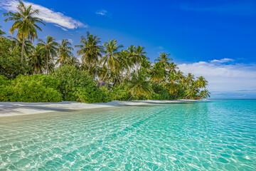 Paradise island beach. Tropical landscape of summer scenery, sea sand sky palm trees. Luxury travel vacation destination. Exotic beach landscape. Amazing nature, relax, freedom nature concept Maldives - obrazy, fototapety, plakaty