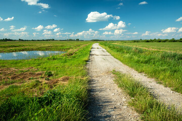 A dirt road through green meadows and blue sky