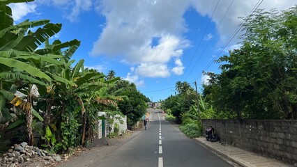 Les routes tropicales de Domoni