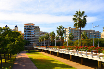 Road in city with palm trees and residential buildings. Apartments at sea. Empty road, no cars in city. Central street with gardens and flowers near city park near the Turia River. Palms on sunset.