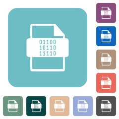 Binary file type rounded square flat icons