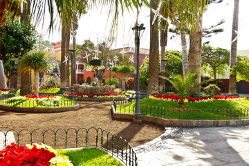 Christmas decorations and red poinsettia flowers in the park on Plaza de la Iglesia in the old town...