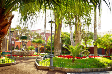 Christmas decorations and red poinsettia flowers in the park on Plaza de la Iglesia in the old town...