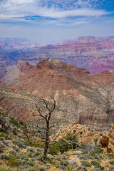 View of the Grand Canyon from Desert View
