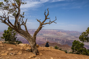 View of the Grand Canyon from Desert View