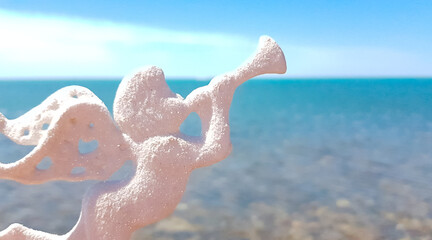image of an angel on the background of the sea and the beach
