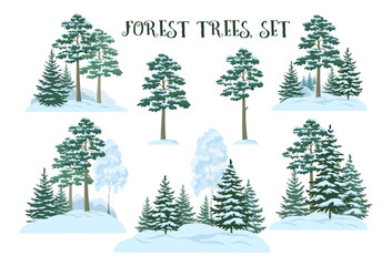Seamless Horizontal Christmas Winter Forest Landscape with Birch, Firs Trees and Sky with Snow and Clouds. Vector