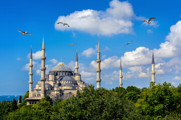 Fototapeta na wymiar Blue Mosque or Sultan Ahmet Mosque in Istanbul, Turkey.