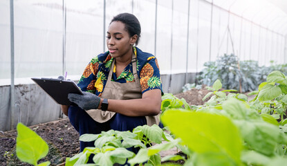 Portrait happy sme owner African woman work with clipboard gardening vegetable farm, nursery worker...
