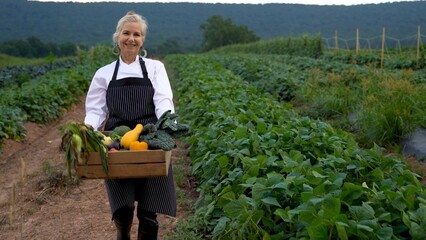 Portrait of pretty, caucasian, female chef carrying fresh picked vegetables walking towards camera on a farm for farm to table at sunrise sunset. - obrazy, fototapety, plakaty