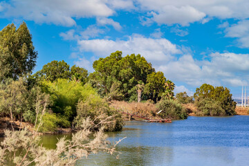 Lake surrounded by colorful deciduous trees during summer under a sky with fluffy clouds. Green forest on the lake shore. Bright summer lakes landscape in day. Tourism, summer concept. Selective focus