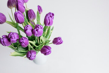 Obraz premium Fresh picked purple tulips in a vase on a solid white surface