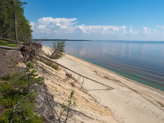 Obraz premium Sandy shore of the Onega Lake in Karelia, northwest of Russia overgrown with forest. Calm on the lake in summer, sandy beach