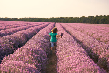back side of Boy in lavender summer field at sunset