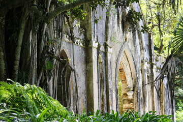 Abandoned church in the deep of the forest in Sintra, Portugal - obrazy, fototapety, plakaty