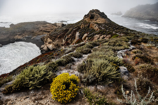 Coastline of point lobos state natural reserve, California