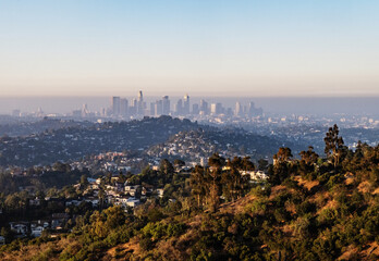 Landscape of Griffith Park and Los Angeles, California