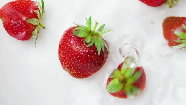 Strawberries fall from above into the water on a white background, hit each other, swim and move.