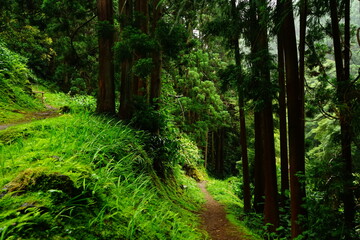 Trekking route in Sao Miguel, Azores islands, Portugal