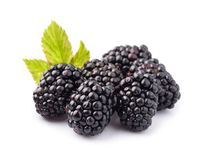 Sweet blackberry with leaves