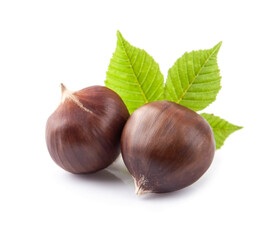 Chestnut nuts with leaves