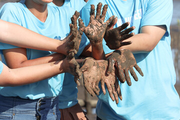 Group of four volunteer in blue t-shirt showing join hands covered mud dirty after planting sapling...