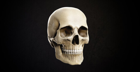 Obraz premium White human skull. Detailed skeleton head for scientific illustrations. Realistic model, 3D render. Image of death on black background.