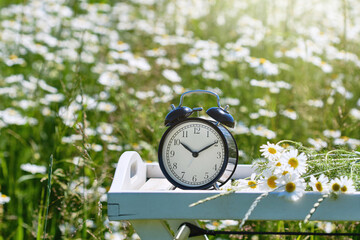 Alarm clock in the field. Clock on a wooden table meadow in a chamomile field. Shallow depth of...