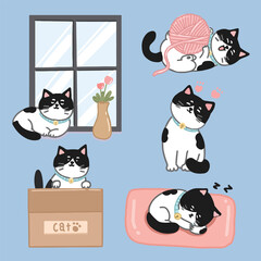cats cartoon character vector set 