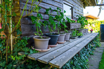 Garden Shed with Tools and Flower pots in a Garden in Lower Bavaria