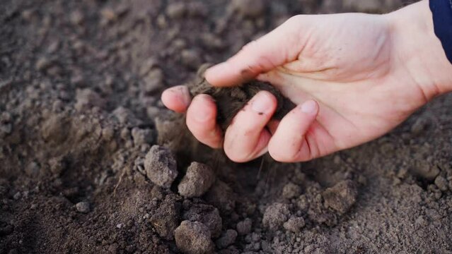 A hand crushes the lumpy soil close-up. Analysis of the consistency and condition of the garden soil