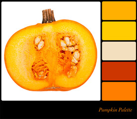 Cut pumpkin background in a colour palette with complimentary colour swatches.