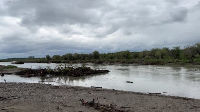 Views of Weaselhead flats wetlands in the city of Calgary, Alberta on a cool summer day.