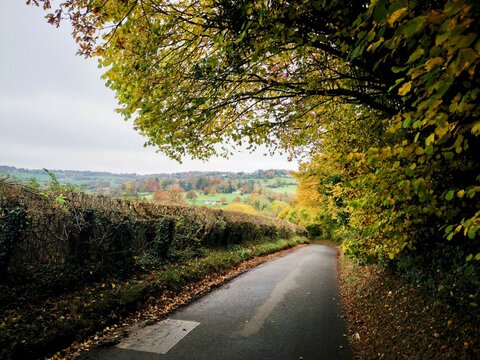 Autumn