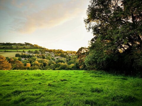 Shire