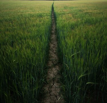 This is The Way