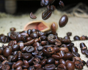 Fototapeta premium roasted coffee Pile, brown roasted coffee beans fresh and bright