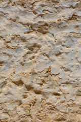 mud brick and thatch wall