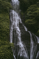 Obraz premium Mountain waterfall, Bali landscape, Indonesia. Tourism in Bali.