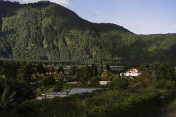 Landscapes of Bali. The mountainous area of Bedugul, view of the rice terraces.
