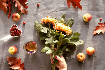 Yellow and orange Fall chrysanthemum flowers in hand. Natural low impact Autumn decorations on brown linen textile background. Pumpkins, apples, cranberry and red oak leaves.