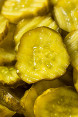 Homemade Green Dill Pickles