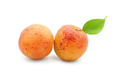 Organic fresh apricots isolated on white background    