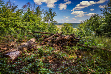 Im Naturpark Stromberg-Heuchelberg